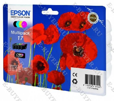 Набор Epson 17 C13T17064A10